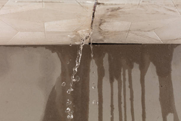 Professional Water Damage Inspection technician working in Holcomb, IL